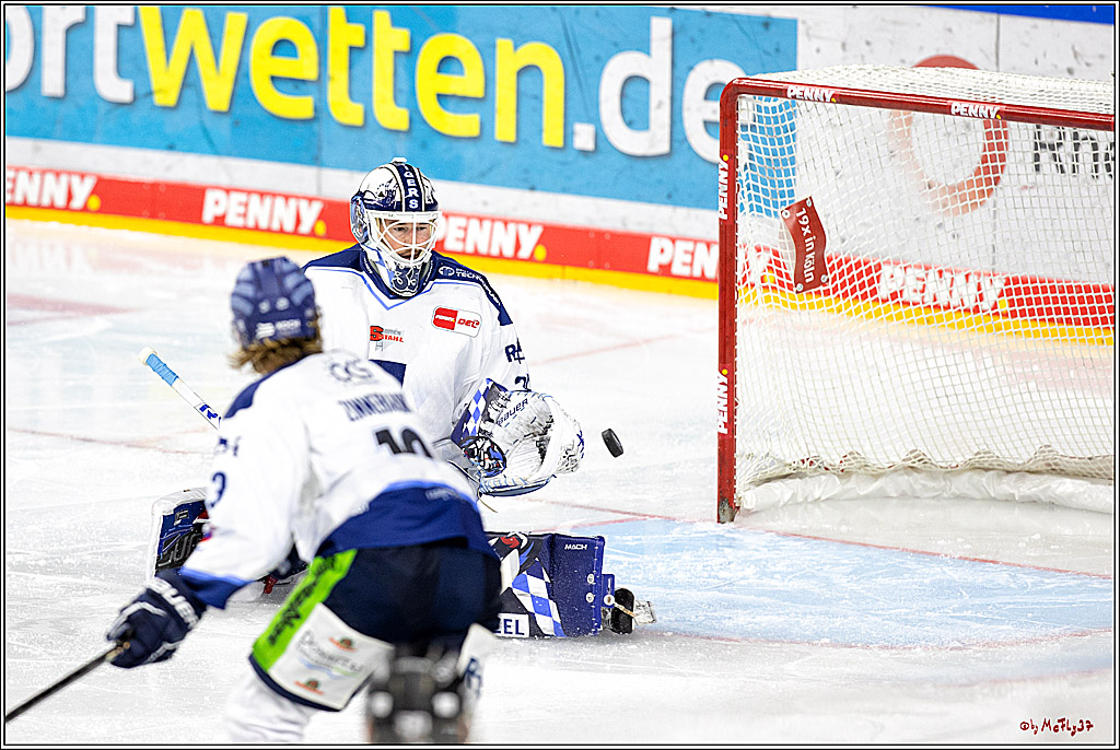 PENNY DEL;  Kölner Haie - Straubing Tigers; Köln, 09.10.2022
